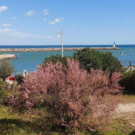 T3 Carnon, 1Ere Ligne 50M Plage Terrasse Parking Mauguio Kültér fotó